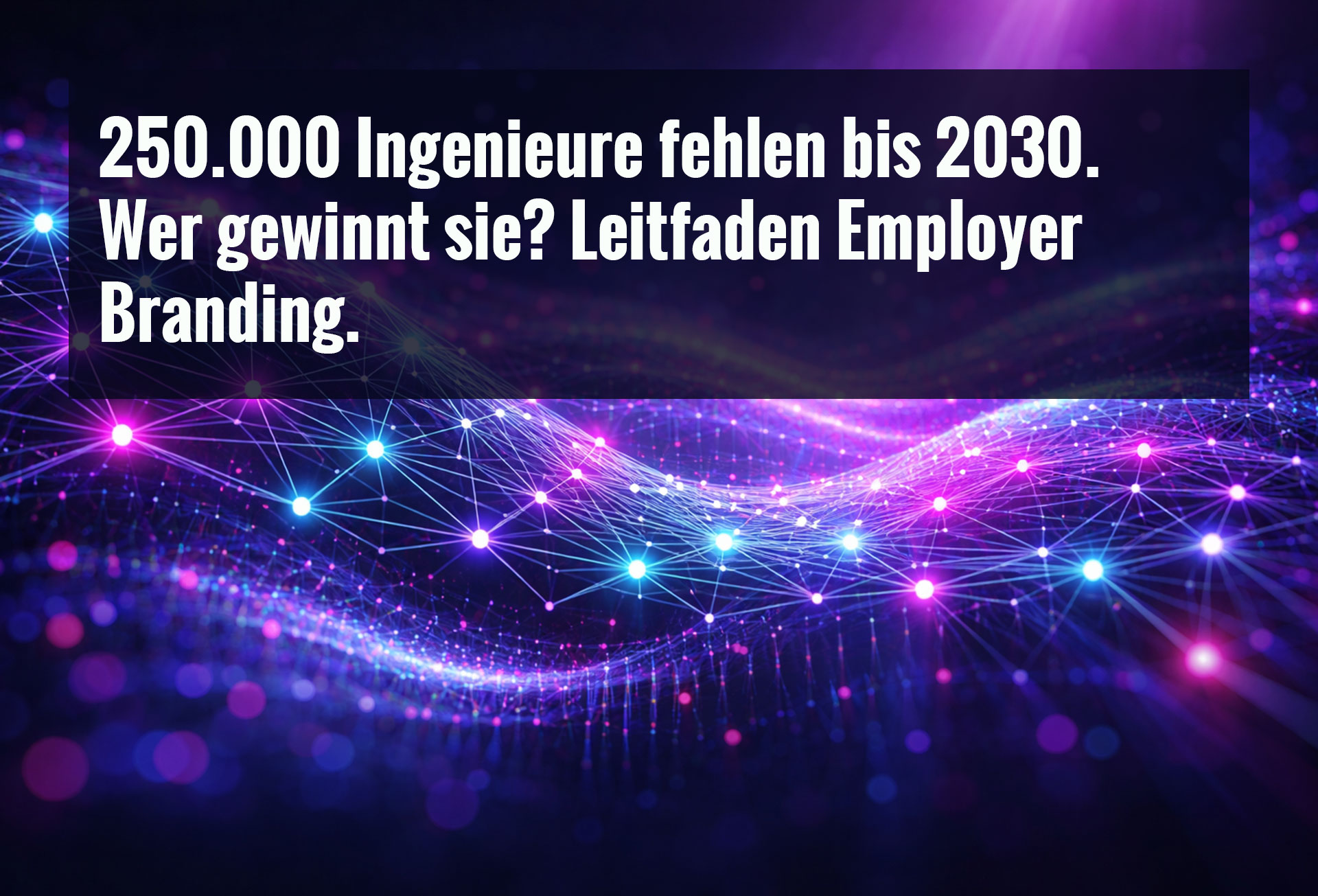Leitfaden Employer Branding — 250.000 Fachkräfte fehlen bis 2030. Ihre Arbeitgebermarke entscheidet wer zu Ihnen kommt.